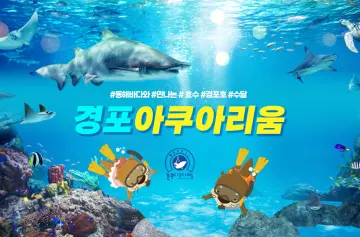 경포 아쿠아리움